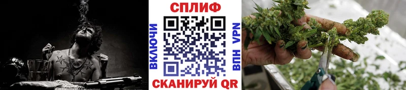 Где купить наркоту Лосино-Петровский Канабис  Меф  Амфетамин  ГАШИШ  Кокаин 