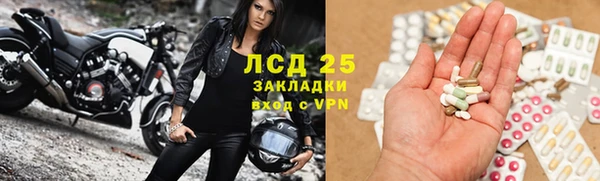 хмурый Алексин