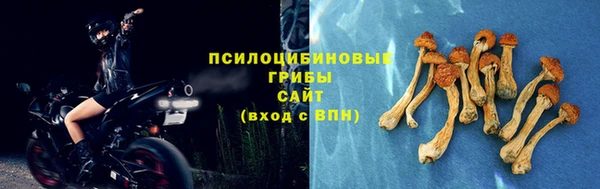 сатива Абдулино