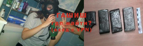 хмурый Алексин