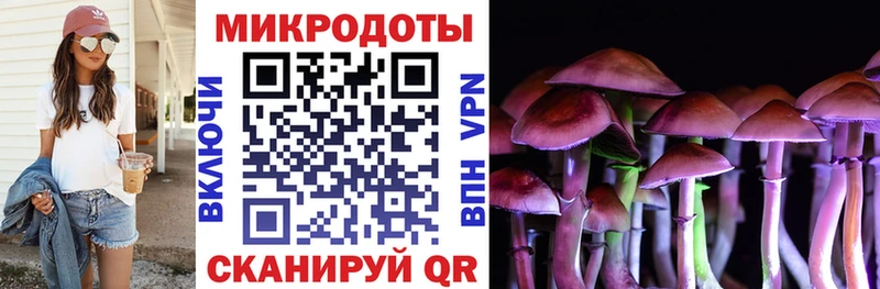 Псилоцибиновые грибы Psilocybe  Лосино-Петровский 