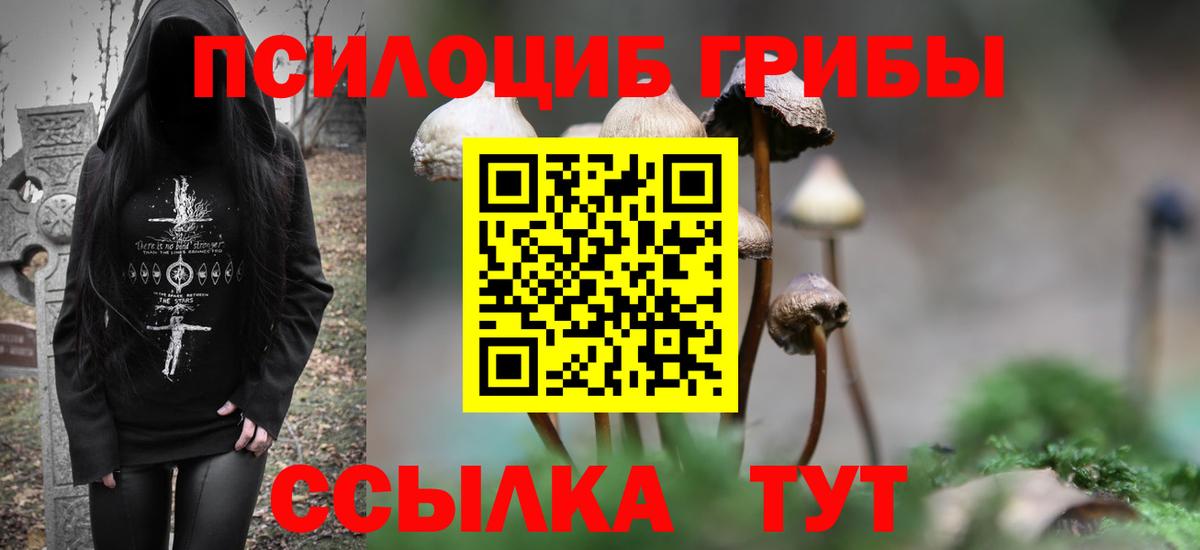 Псилоцибиновые грибы Cubensis  Вход с VPN  Лосино-Петровский 